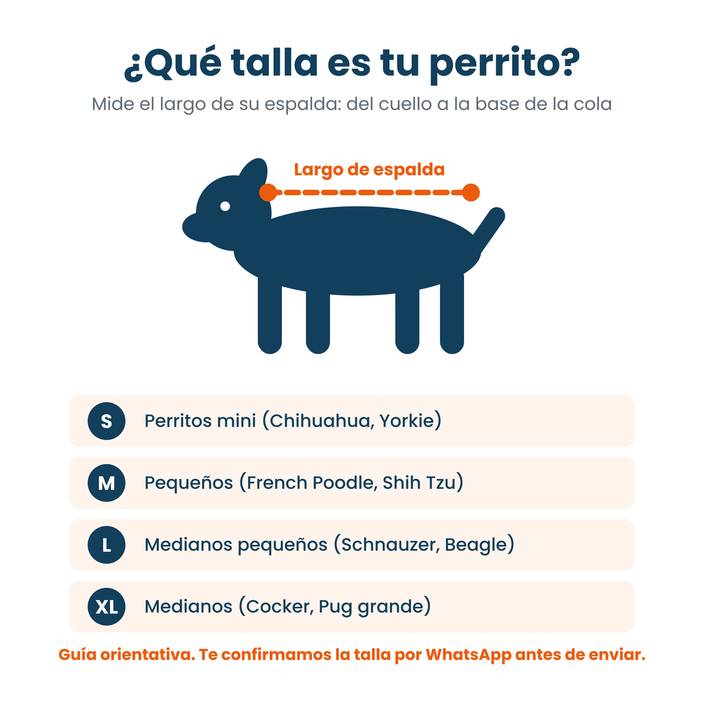 Disfraz de León para Perro